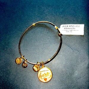 🌟 New Alex And Ani Gold Crown Swarovski Charm Bracelet Healthcare Hero- 🌟